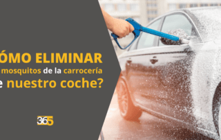 eliminar mosquitos de la carrocería del coche area 365
